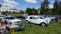 Rheingauer Oldtimer Picknick in Eltville am Rhein