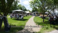 Rheingauer Oldtimer Picknick in Eltville am Rhein