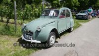 Rheingauer Oldtimer Picknick in Eltville am Rhein