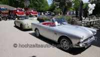 Rheingauer Oldtimer Picknick in Eltville am Rhein